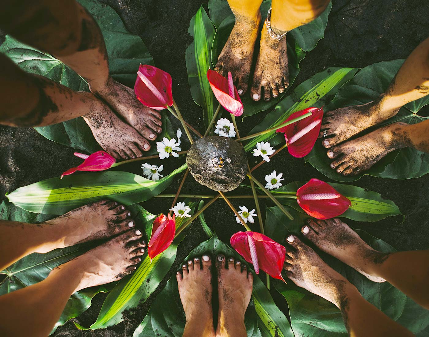 Join the Cooperative