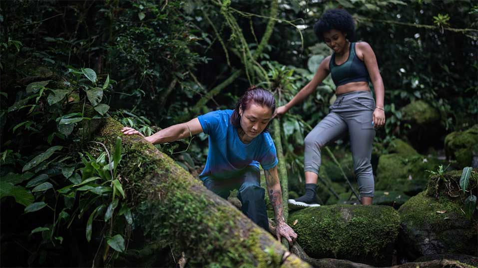 The Ark Effect™ —Radical Self Preservation and Leadership for Catastrophe Survival Series.